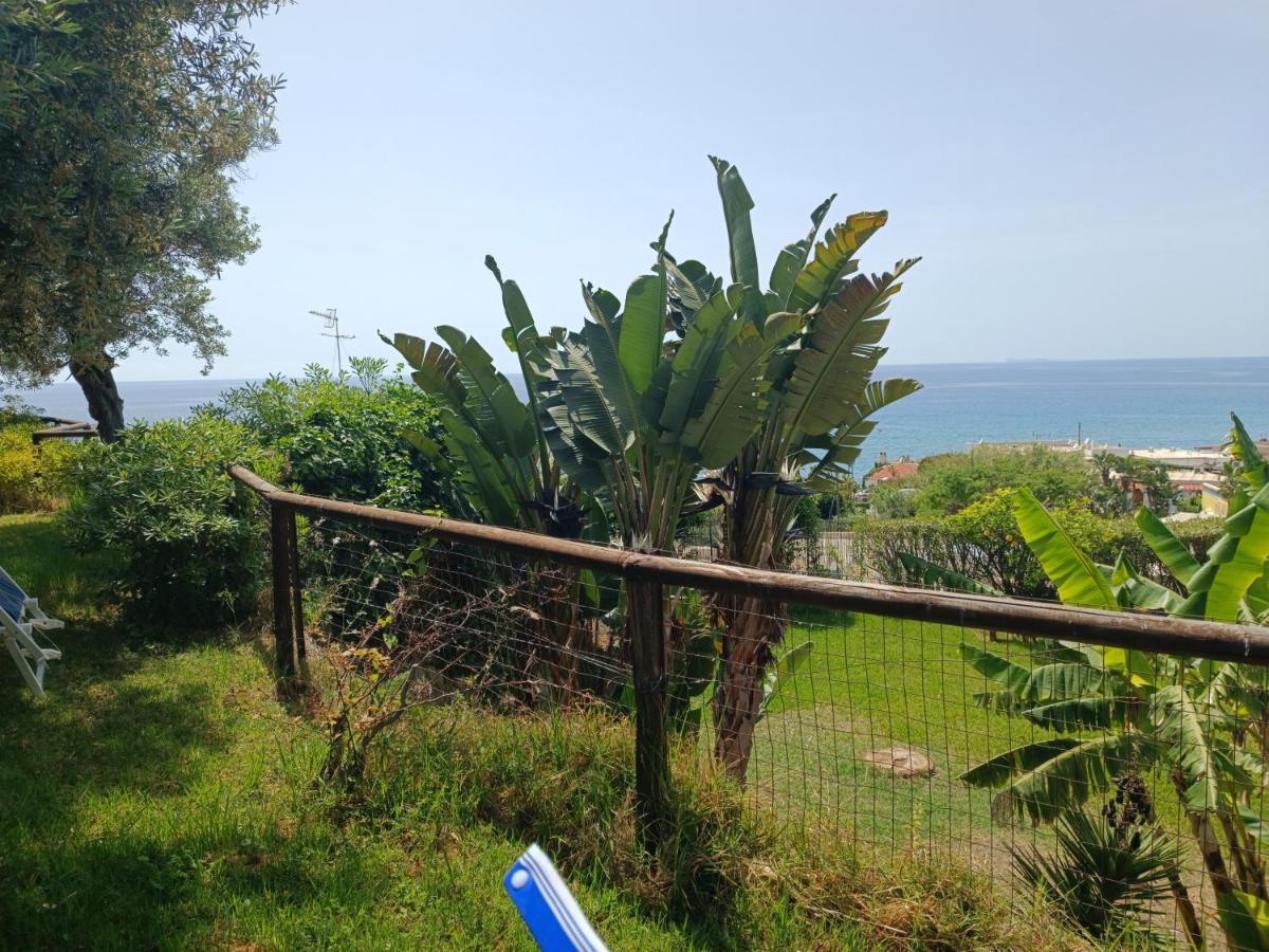 La Dea Del Mare Lejlighed Forio di Ischia Eksteriør billede