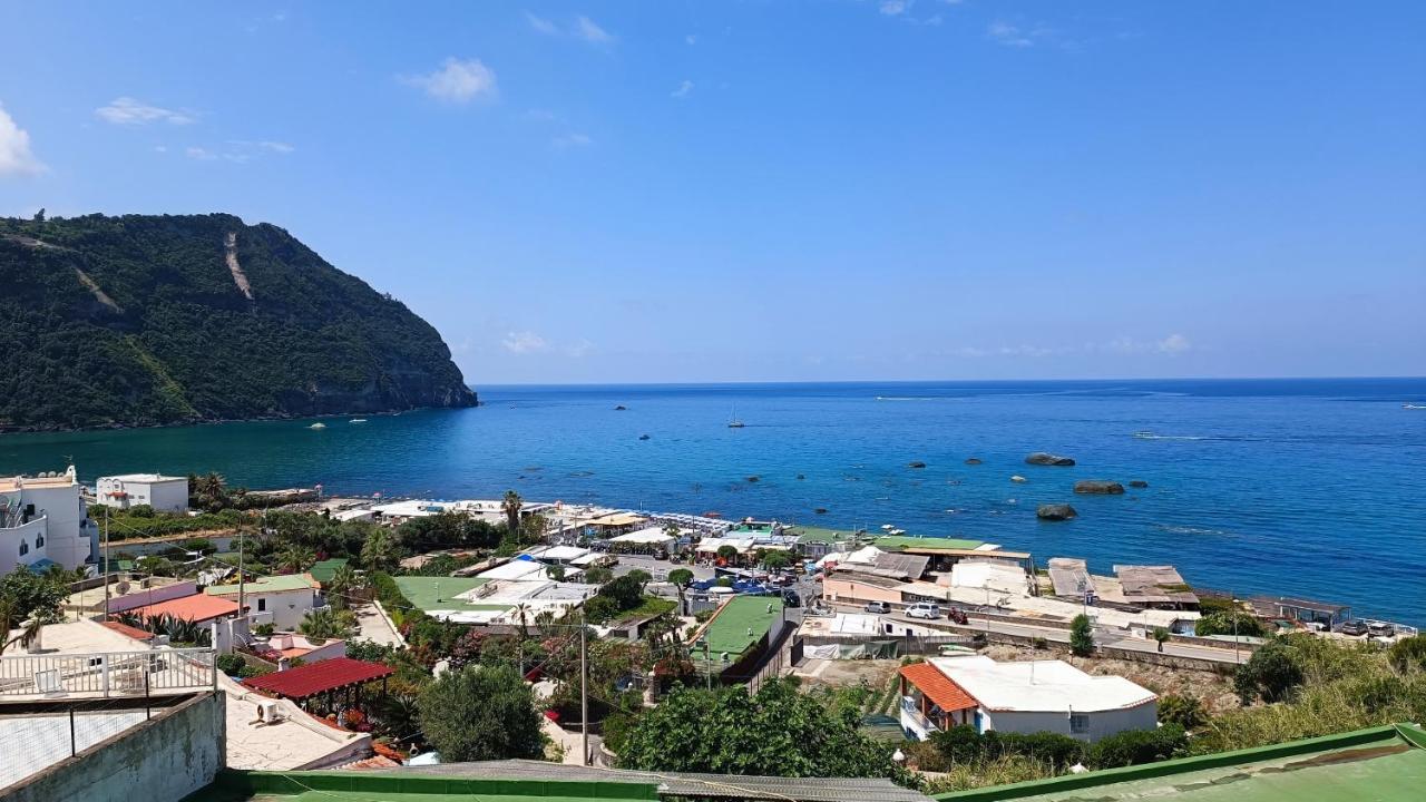 La Dea Del Mare Lejlighed Forio di Ischia Eksteriør billede