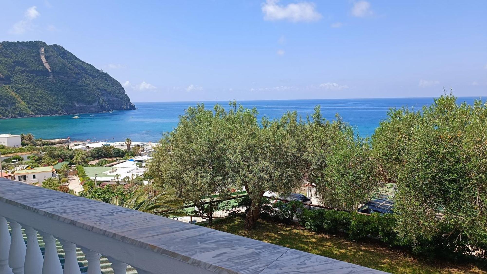 La Dea Del Mare Lejlighed Forio di Ischia Eksteriør billede